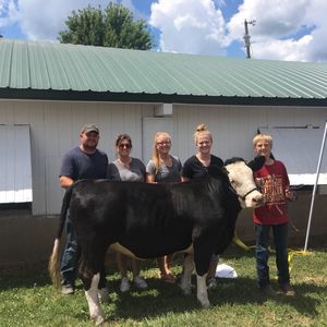 Meet your Posher, Jack